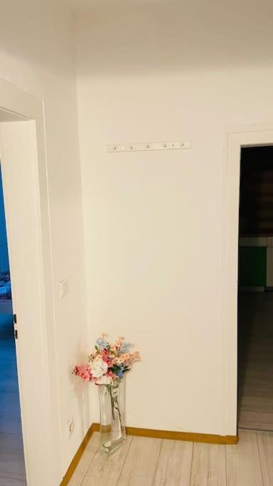 Wohnung Im Zentrum Von อัลบ์ชตัดท์ ภายนอก รูปภาพ